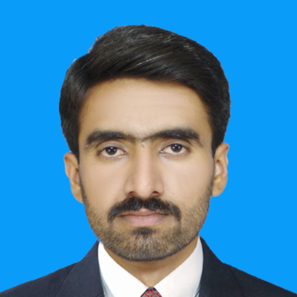 چوہدری شہزاد انصار
