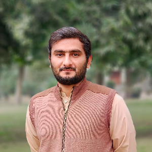 محمد حسنین نیکوکارہ